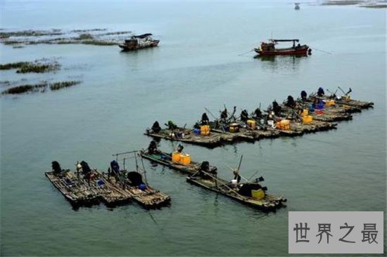 中国四大渔场，中国这些著名的渔场你都知吗？