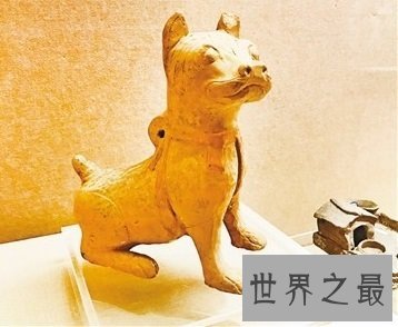 看似憨厚笨重实则机灵敏捷的川东猎犬是什么样的