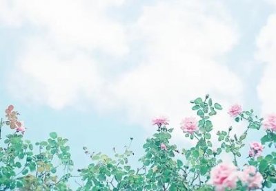 ​趣知识：鸡蛋可以和牛奶一起蒸吗？纯牛奶和鸡蛋混在一起蒸可以吗？