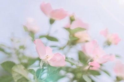 ​蒸鸡蛋羹加什么水蒸鸡蛋羹加水么