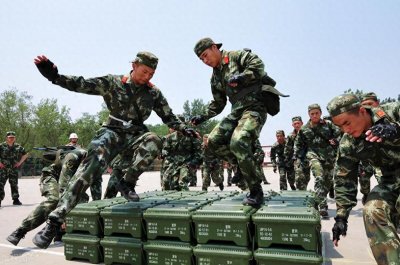 ​当前国内的兵种有哪些