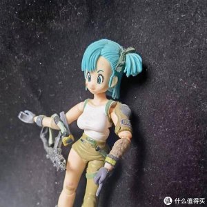 ​七龙珠幸福一家人 布玛跟贝吉塔最出乎意料的一对
