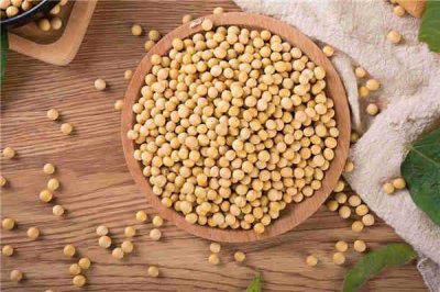 ​泡麻豆的黄豆要煮熟吗 生黄豆怎么制作麻豆(用醋泡15天)
