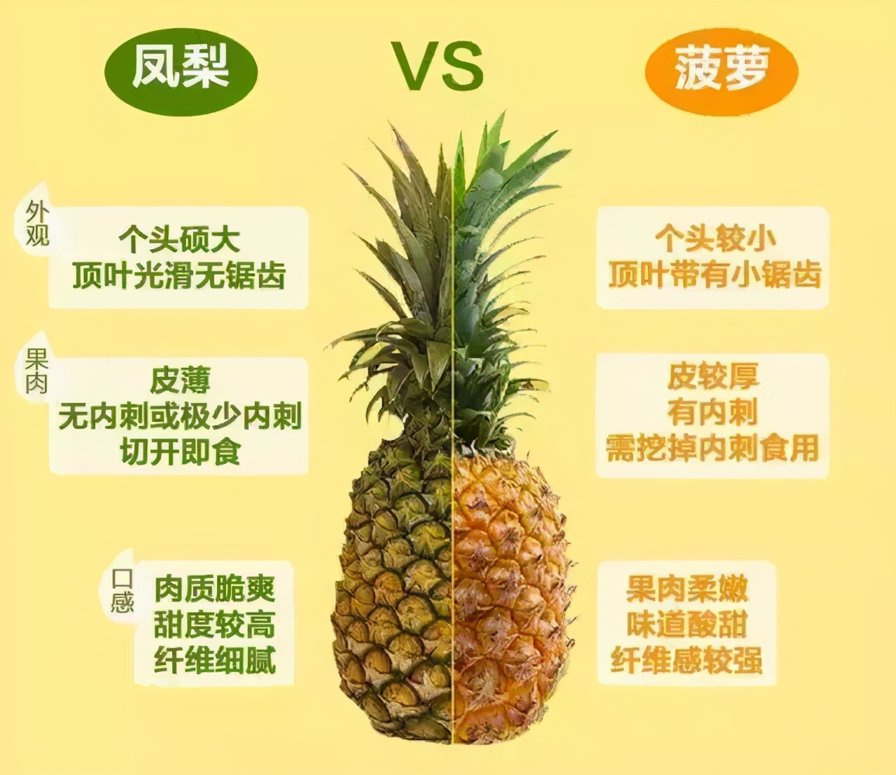 凤梨和菠萝哪个好吃(浅谈凤梨和菠萝4个不同之处)