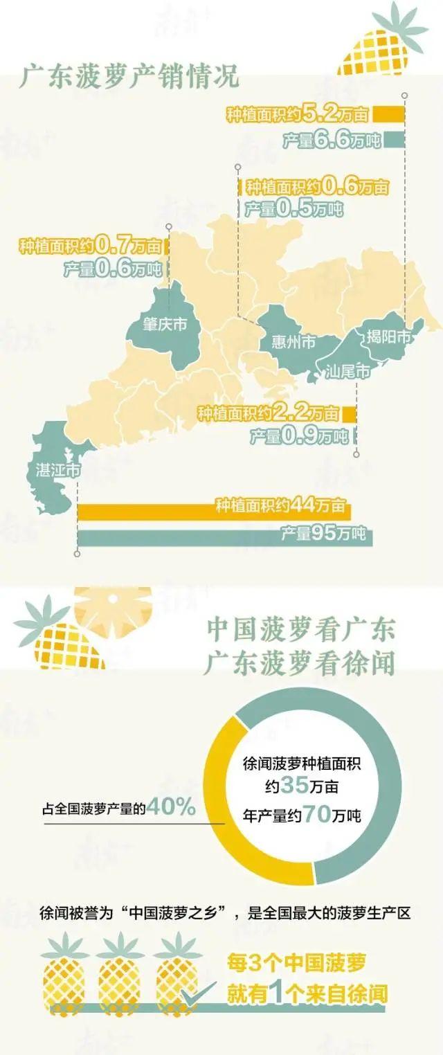 凤梨和菠萝哪个好吃(浅谈凤梨和菠萝4个不同之处)