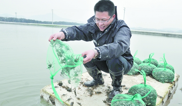 养大闸蟹要用什么水,养小螃蟹用什么沙子图5