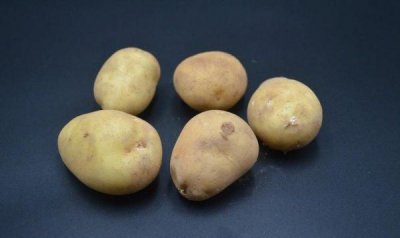 ​出芽的土豆可以吃有毒,土豆发芽了有没有毒能不能吃