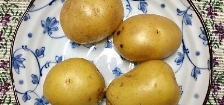 土豆发芽真的有毒吗