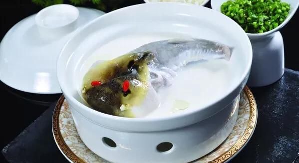 河豚哪里有毒,海豚哪个部位有毒?图6