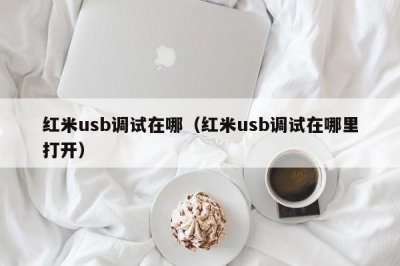 ​红米usb调试在哪（红米usb调试在哪里打开）