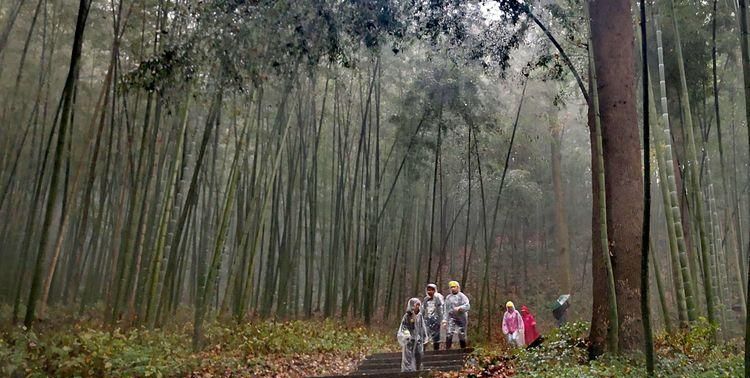 想知道:重庆市从大竹林到西南医院怎么坐公交