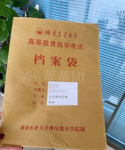 ​档案号是什么意思，健康档案编号是什么意思？