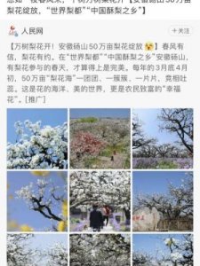 ​称赞不已的意思(称赞不已的意思是什么?)