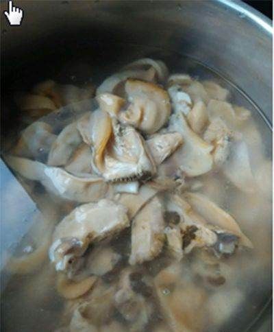 河蚌怎么处理,河蚌怎样才能清理干净图13