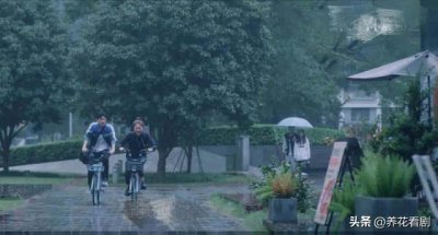 ​胶原羹怎么吃（狐尾天门冬耐寒吗）