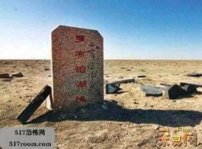 ​世界十大毒王 咬一口释放的毒素可杀死100人左