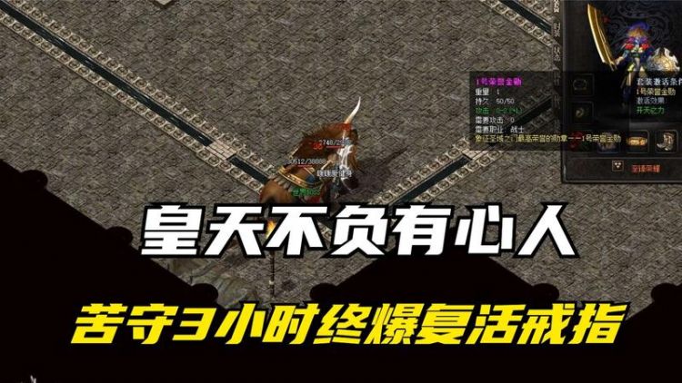 皇天不负有心人的是什么意思