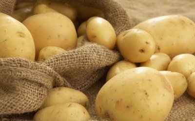 ​土豆有霉味了能吃吗，有毒素不能吃（吃了会呕吐、腹泻）