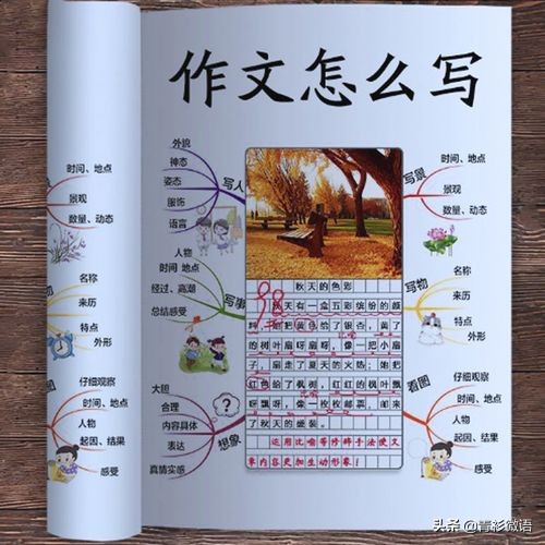 写作手法有哪些（掌握常见的八种写作手法让写作文变轻松）