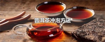 普洱茶冲泡方法