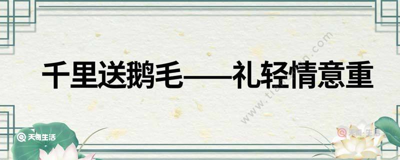 千里送鹅毛的歇后语(千里送鹅毛的歇后语是什么)