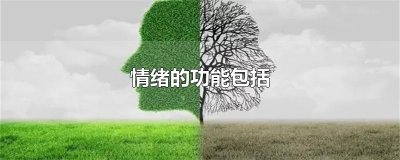 情绪的功能包括