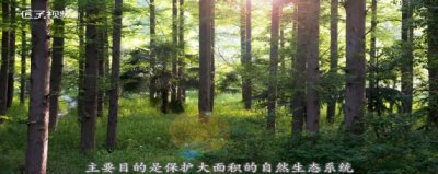 什么是国家公园