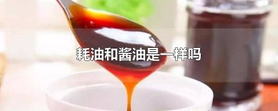 酱油跟耗油一样吗 耗油和酱油的区别