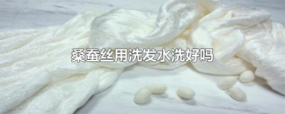 桑蚕丝用洗发水洗好吗