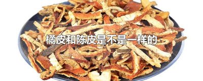 橘皮和陈皮是不是一样的