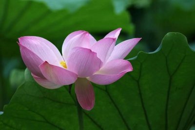 ​人活着，最好的活法：善待自己！