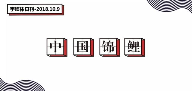 支付宝的锦鲤活动是什么(除了羡慕嫉妒恨)(1)