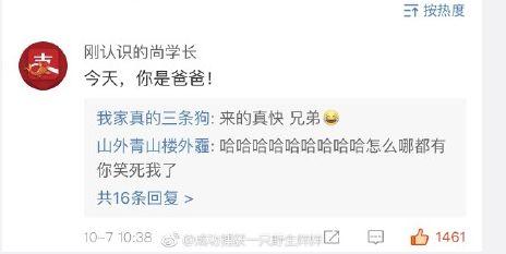 支付宝的锦鲤活动是什么(除了羡慕嫉妒恨)(30)