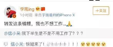 支付宝的锦鲤活动是什么(除了羡慕嫉妒恨)(6)