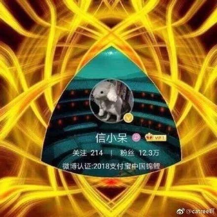 支付宝的锦鲤活动是什么(除了羡慕嫉妒恨)(2)