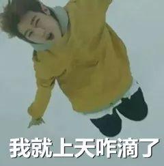 支付宝的锦鲤活动是什么(除了羡慕嫉妒恨)(40)