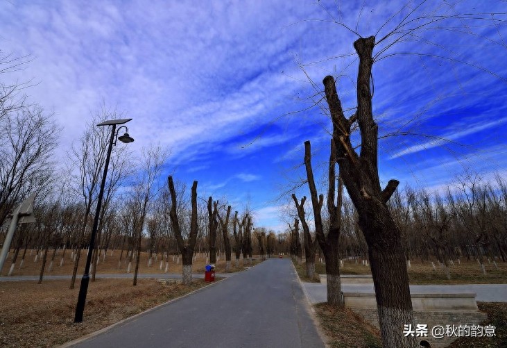 北京将府公园是电子城、酒仙桥、将台地区最大的一处公园绿地