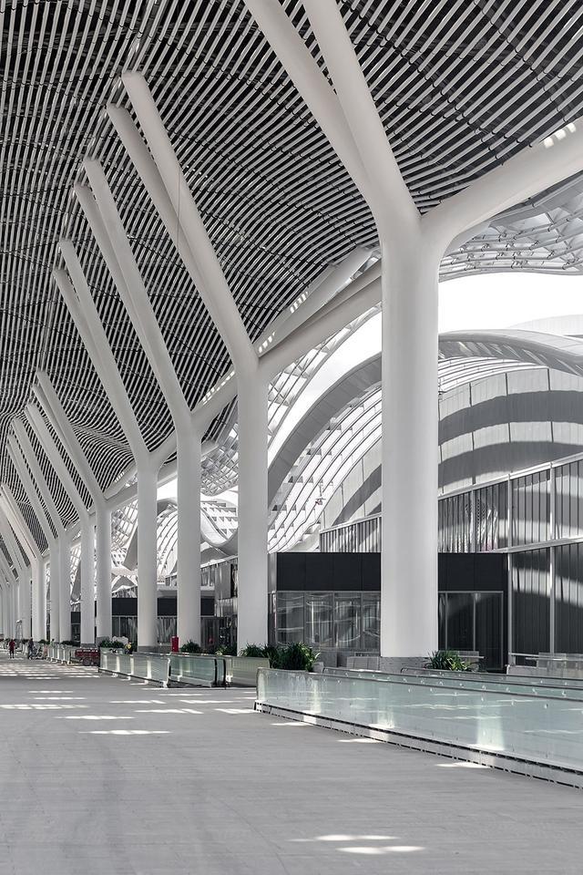 深圳国际会展中心是亚洲最大(全球最大会客厅)(14)