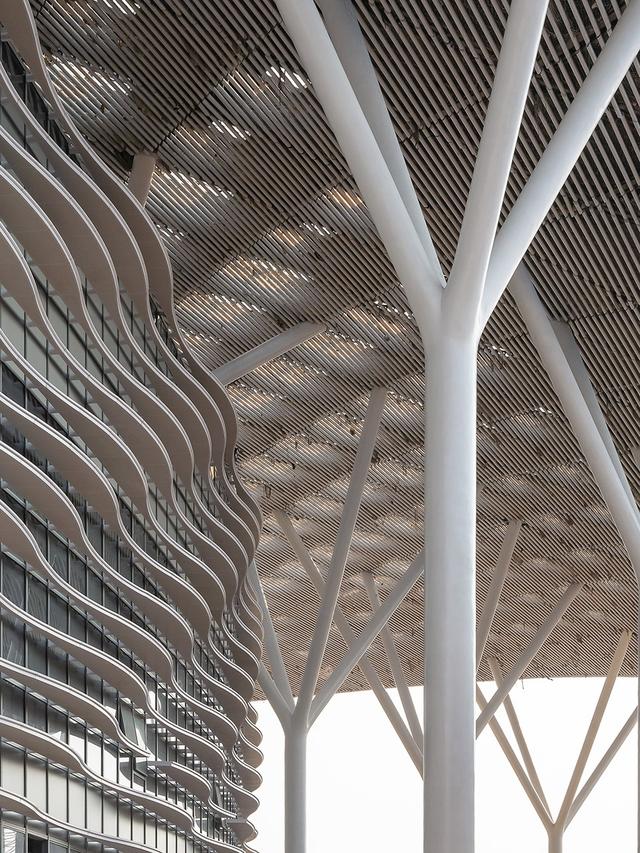 深圳国际会展中心是亚洲最大(全球最大会客厅)(19)