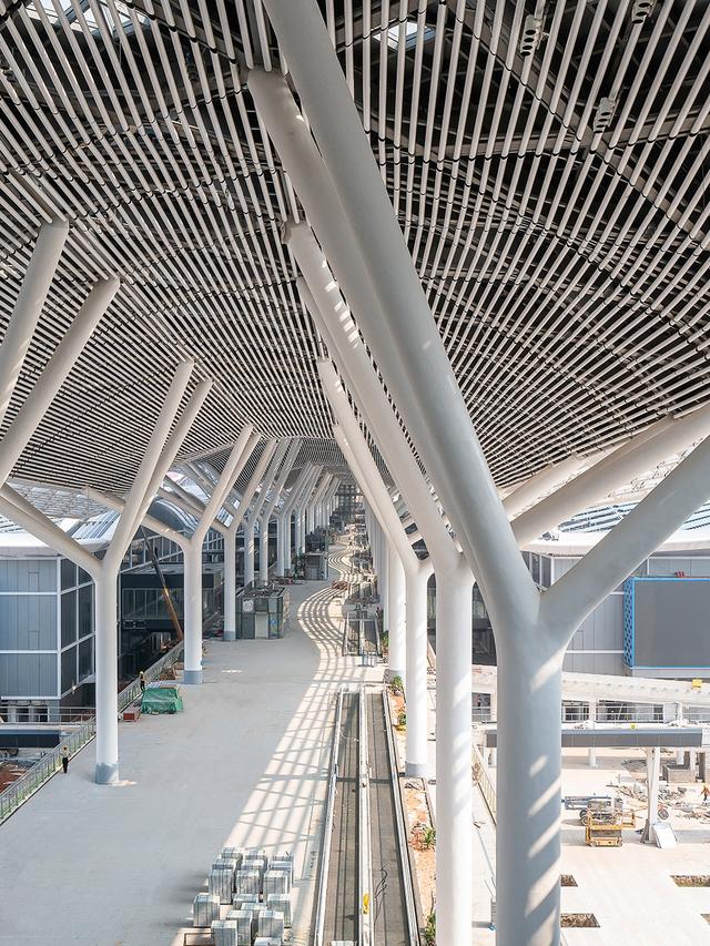 深圳国际会展中心是亚洲最大(全球最大会客厅)(13)