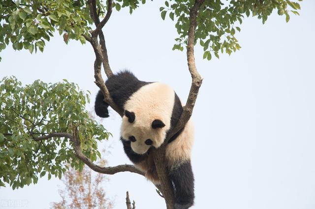 上海十大最好的旅游景点(上海的5A级旅游景点)(10)