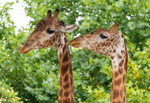 上海十大最好的旅游景点(上海的5A级旅游景点)(11)