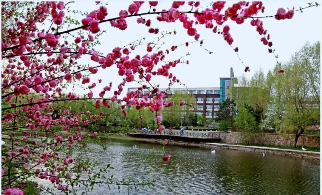 长春市占地面积最大的高中(长春高中排名)