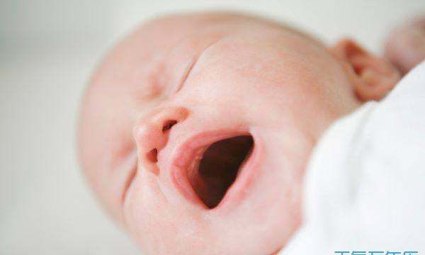 偏旁部首带土的字,土字旁的字有哪些字土字旁的字有哪些字茔图1