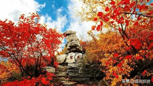 淄博有什么好玩的地方景点推荐(淄博附近好玩的旅游景点)