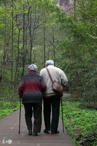 ​免费称骨算命（算命不求人——农村民间算命经验口诀称骨算命，可以自己算命）