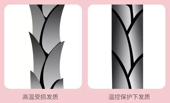 戴森美发造型器和直发器(这款名牌美发器更小巧好用还便宜)(16)