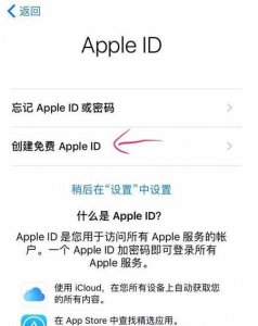 ​新手使用苹果手机注意事项(新手用苹果手机需要注意什么)