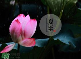 立夏和夏至有什么区别?立夏和夏至的区别 立夏和夏至有什么区别?立夏和夏至的区别