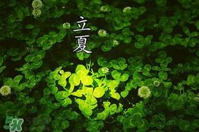 立夏和夏至有什么区别?立夏和夏至的区别 立夏和夏至有什么区别?立夏和夏至的区别